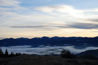 DSC_0708 (Large).JPG